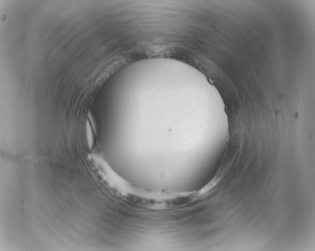 X0000052630090200507221801