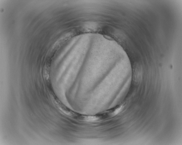 X0000052630091200507221801
