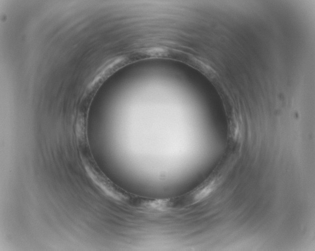 X0000052630092200507221801