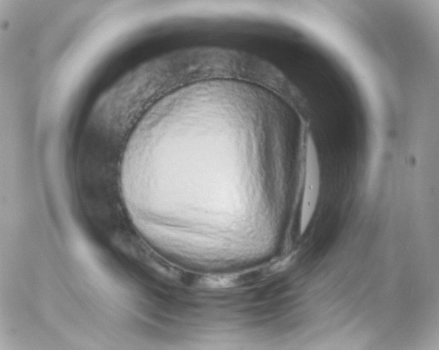 X0000052630093200507221801