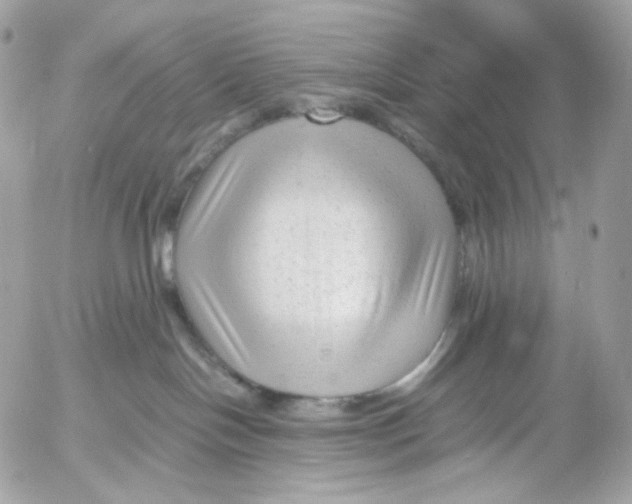 X0000052630094200507221801