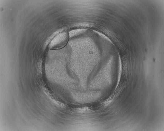 X0000052630112200507221800