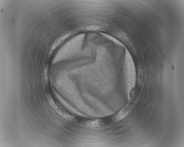 X0000052630116200507221800