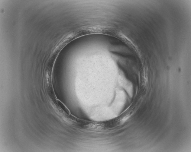 X0000052630117200507221800
