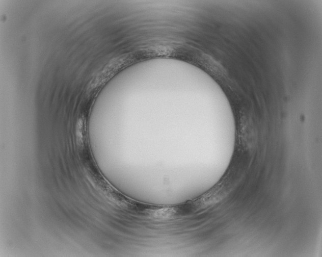 X0000052630122200507221800