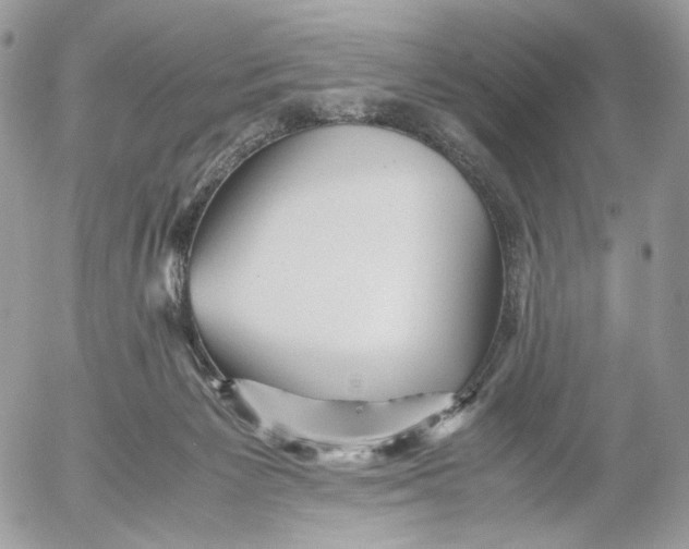 X0000052630125200507221800
