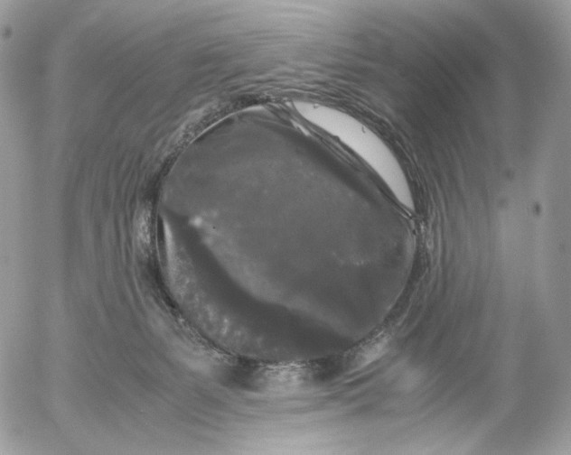 X0000052630127200507221800