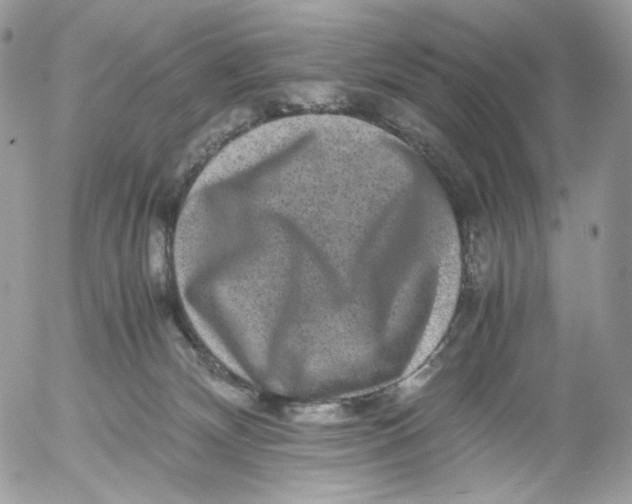 X0000052630132200507221759