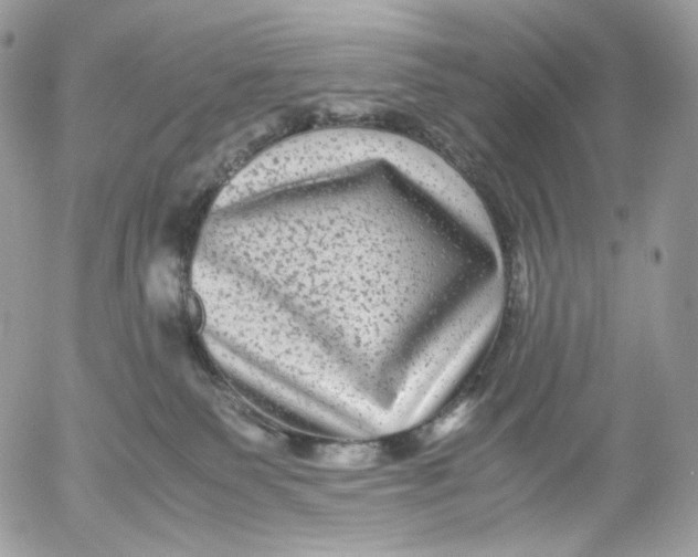 X0000052630135200507221759
