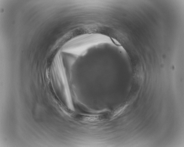 X0000052630139200507221759