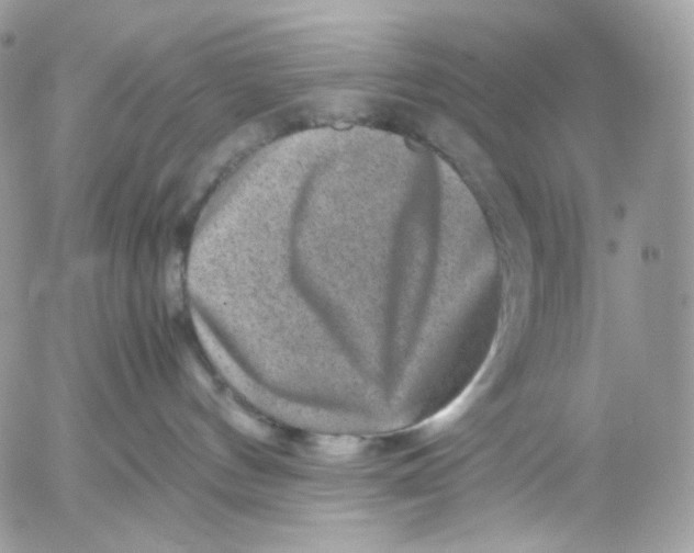X0000052630144200507221759