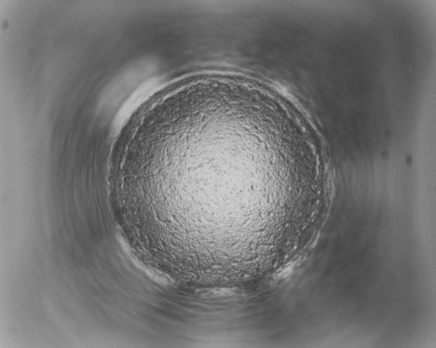 X0000052630151200507221759