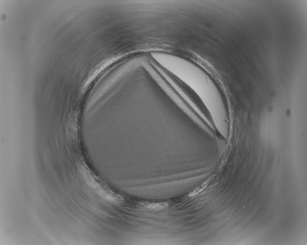 X0000052630155200507221759