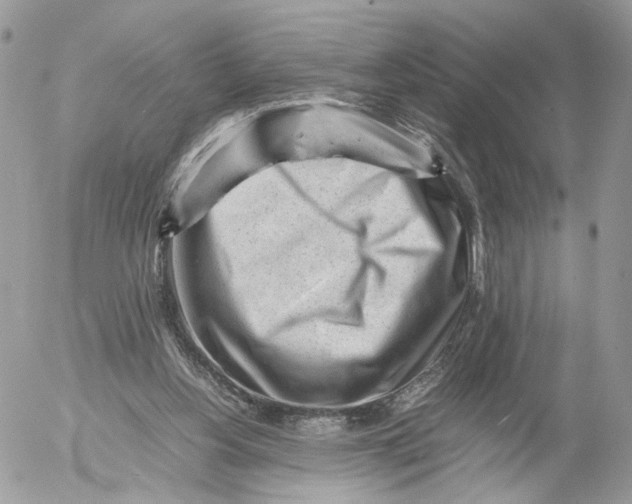 X0000052630156200507221759