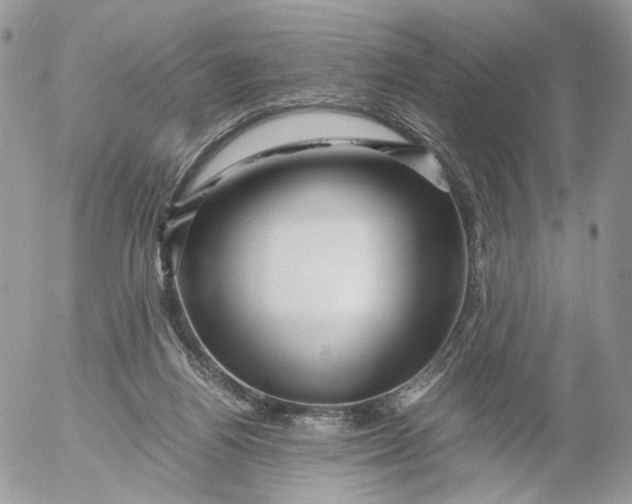 X0000052630164200507221759