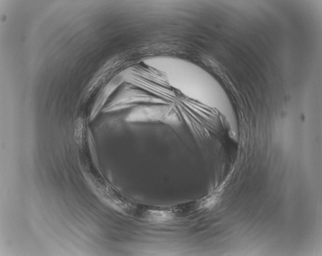 X0000052630167200507221759