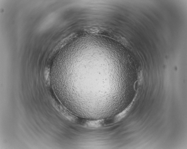 X0000052630178200507221759