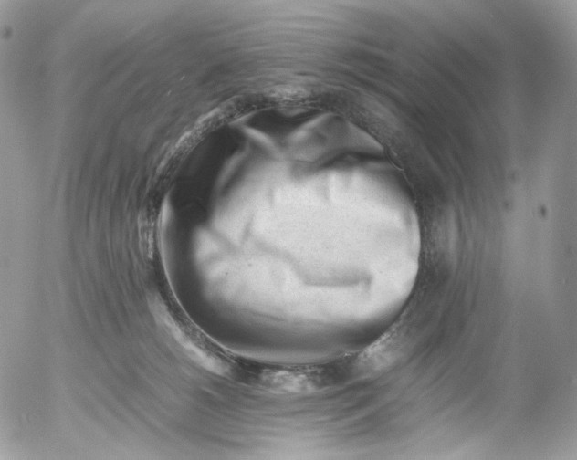 X0000052630180200507221759