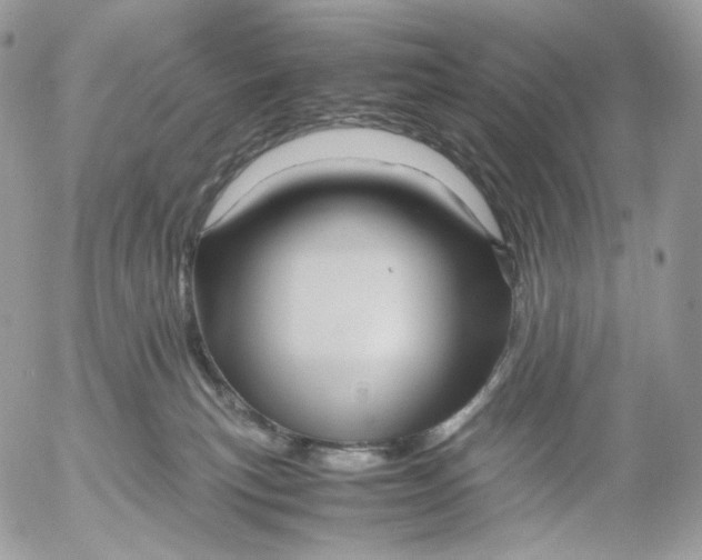 X0000052630183200507221759