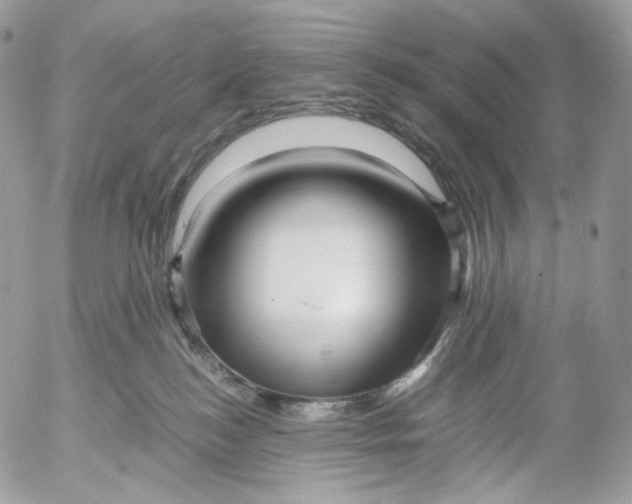 X0000052630184200507221759