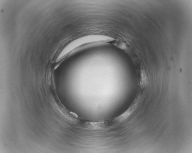 X0000052630188200507221759