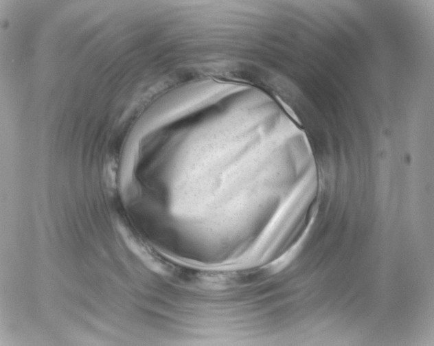 X0000052630190200507221759