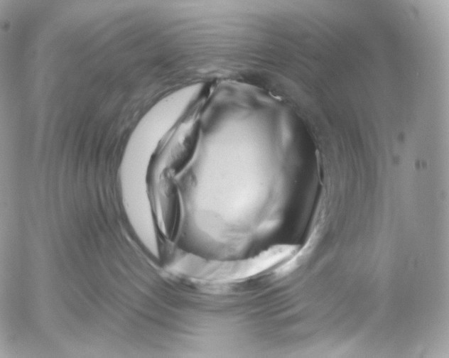 X0000052630192200507221759