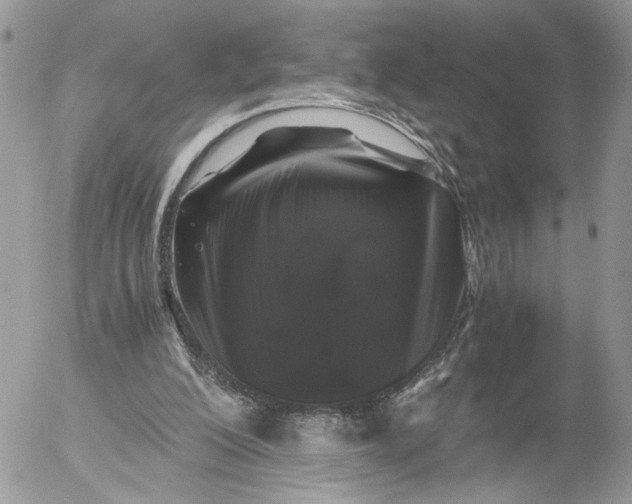 X0000052630200200507221758
