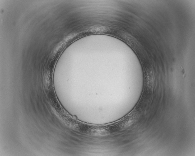 X0000052630208200507221758