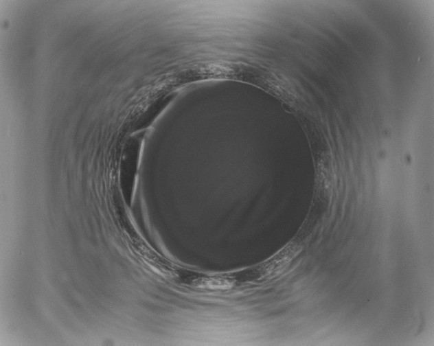 X0000052630223200507221758