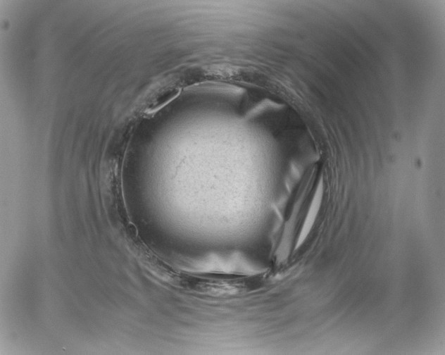 X0000052630229200507221758