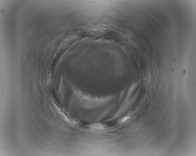X0000052630231200507221758