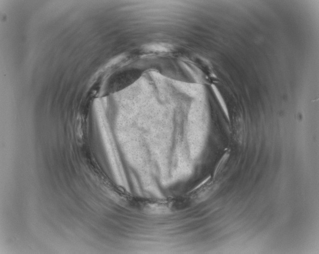 X0000052630232200507221758