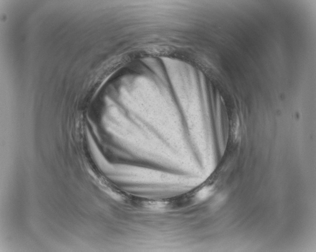 X0000052630233200507221758