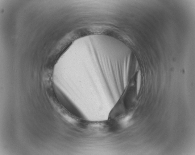 X0000052630237200507221758