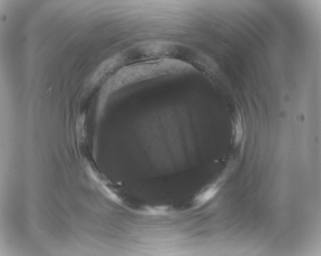 X0000052630239200507221758