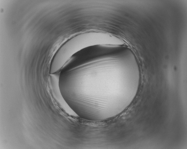 X0000052630241200507221757