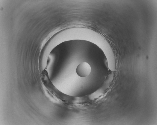 X0000052630244200507221757