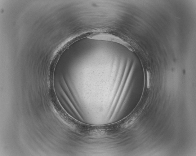 X0000052630252200507221757