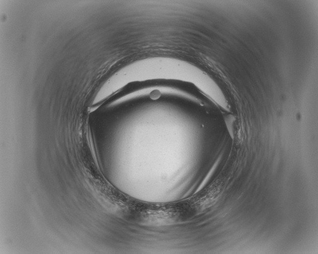 X0000052630259200507221757