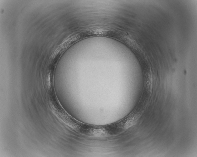 X0000052630262200507221757
