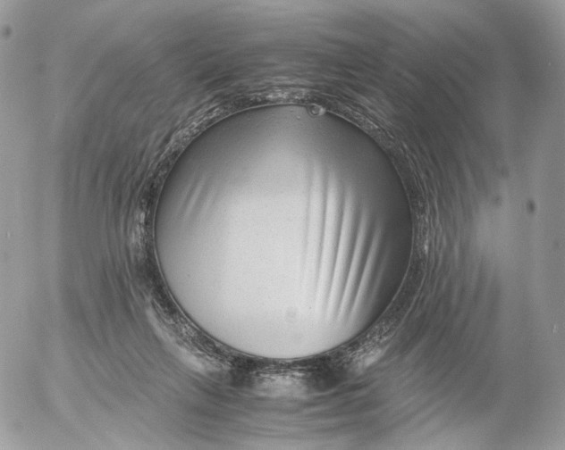 X0000052630263200507221757