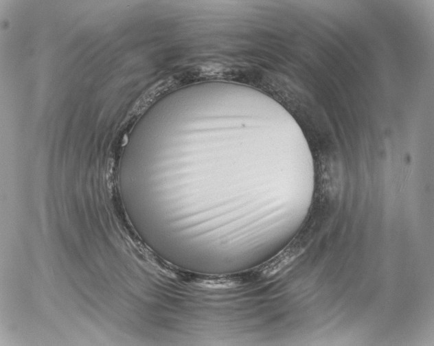 X0000052630275200507221757