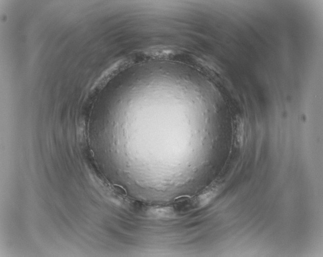 X0000052630283200507221758