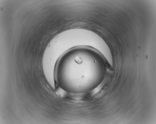X0000052630284200507221758