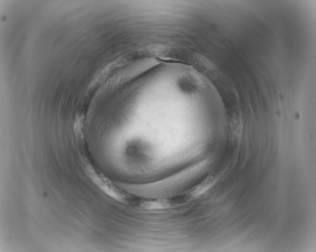 X0000052630286200507221758