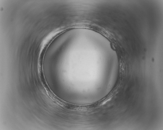 X0000052630294200507221757