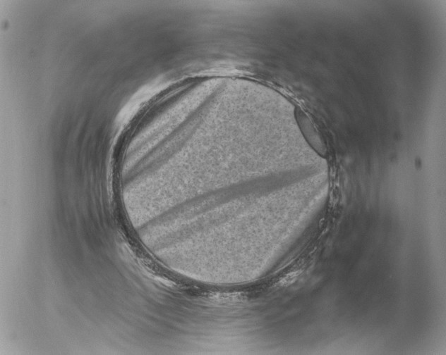 X0000052630296200507221757