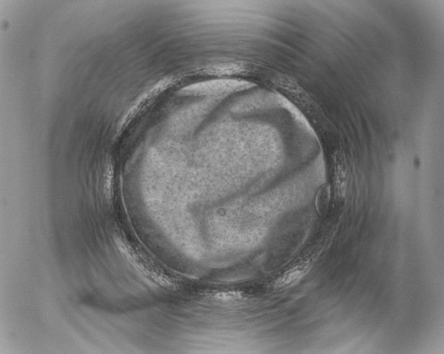 X0000052630304200507221757
