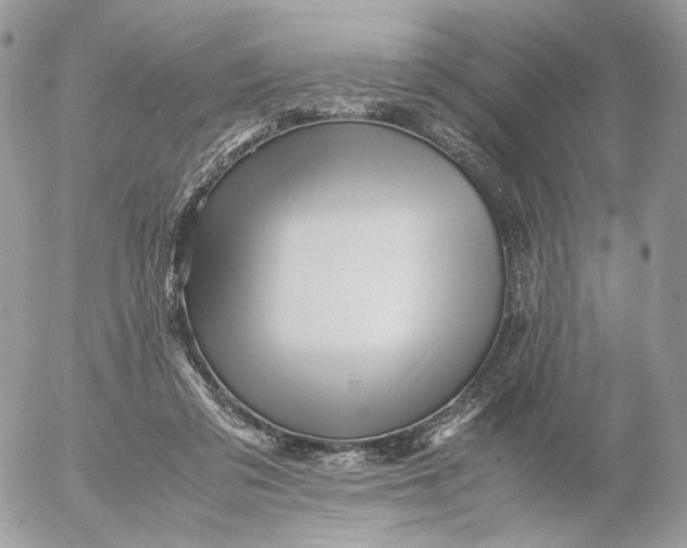 X0000052630309200507221757